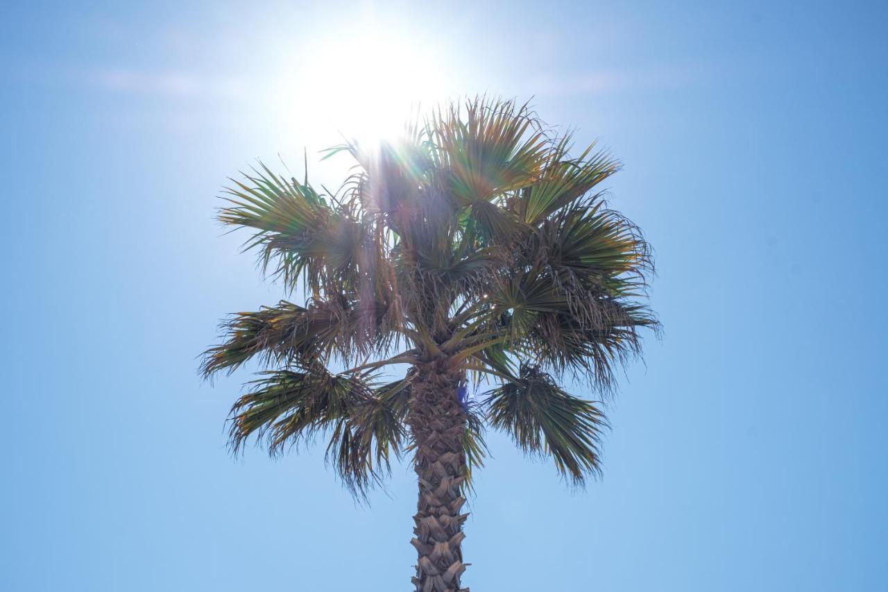 Ds One Vacances, Prairies De La Mer Grimaud Εξωτερικό φωτογραφία
